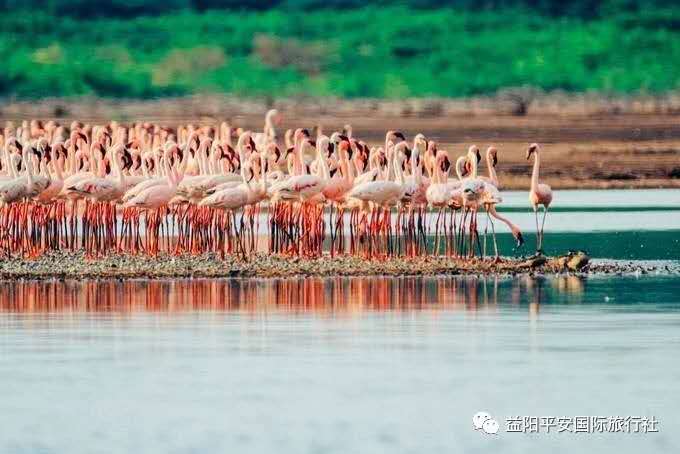 发现非洲体验之旅肯尼亚10游 发现非洲体验之旅肯尼亚10游