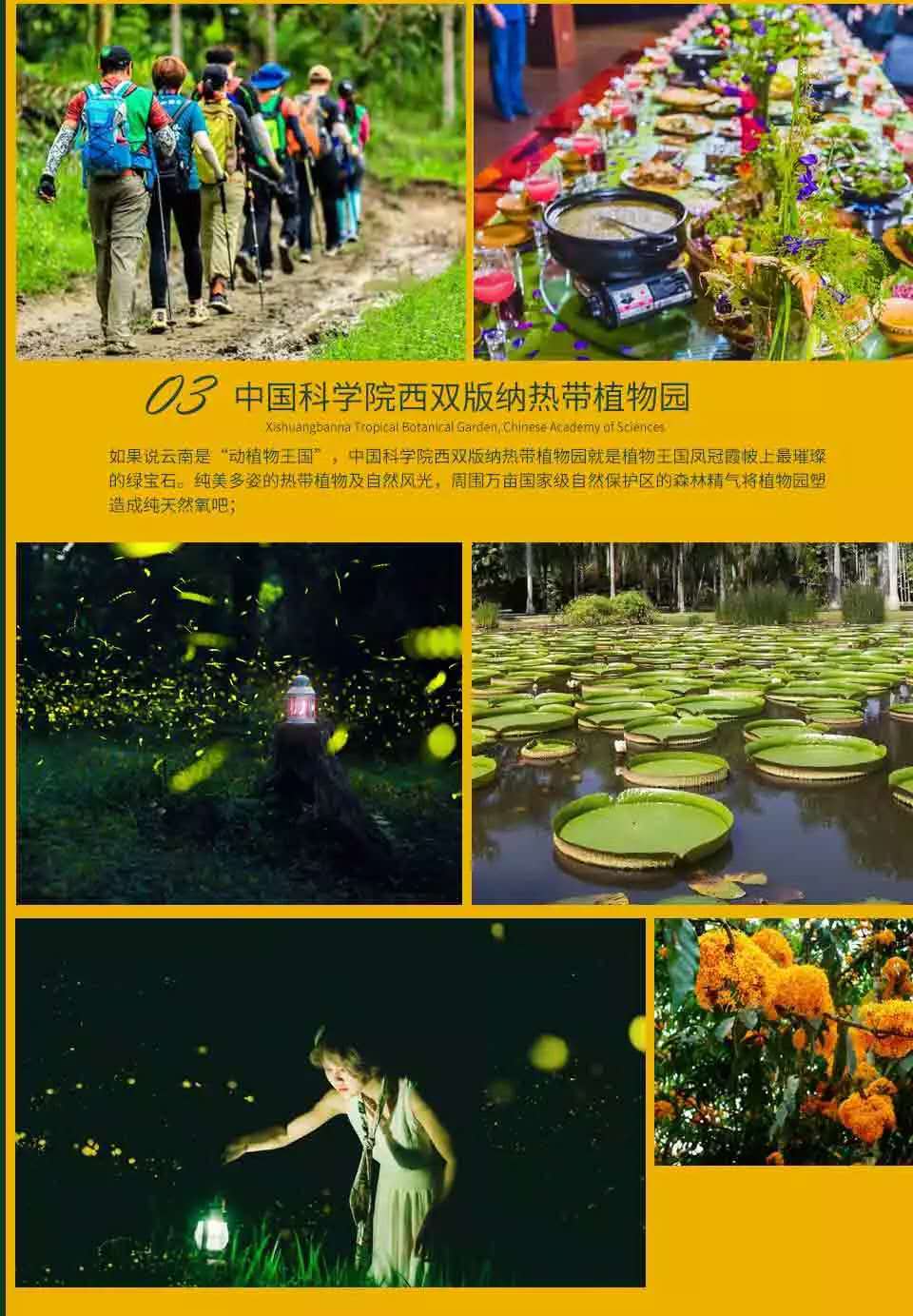 昆明西双版纳亲子度假三飞六日游