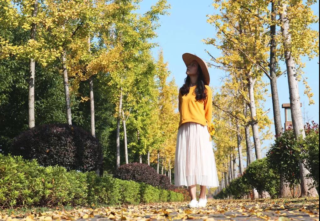 城头山遗址公园粉黛花海一日游 城头山遗址公园粉黛花海一日游