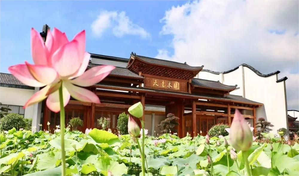 清溪村、天意木国景区、明清古巷、市博物馆、胡林翼故居二日游 清溪村、天意木国景区、明清古巷、市博物馆、胡林翼故居二日游